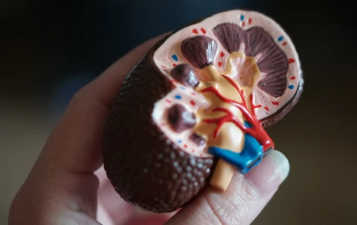 global kidney foundation thumb1